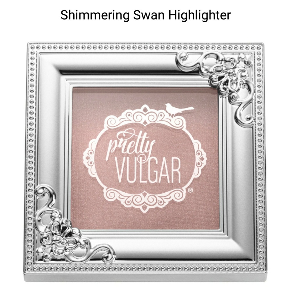 🔥 2 for $22🔥 Pretty vulgar highlighter